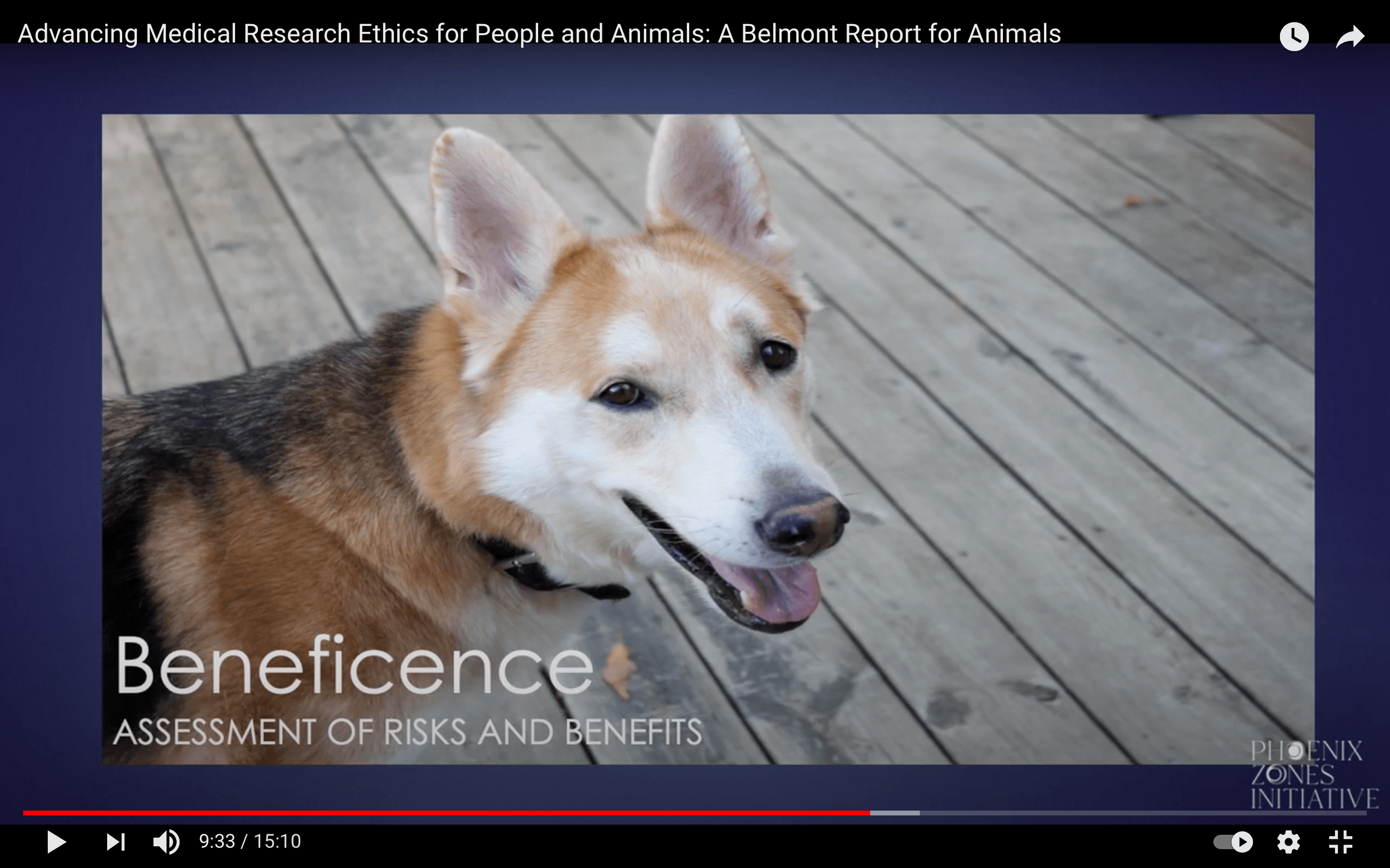 A Belmont Report for Animals