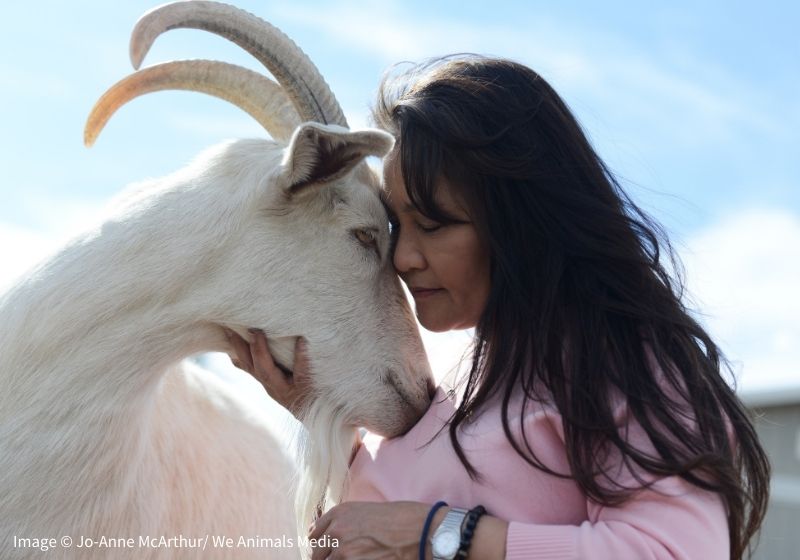 Image of a woman and a goat touching foreheads