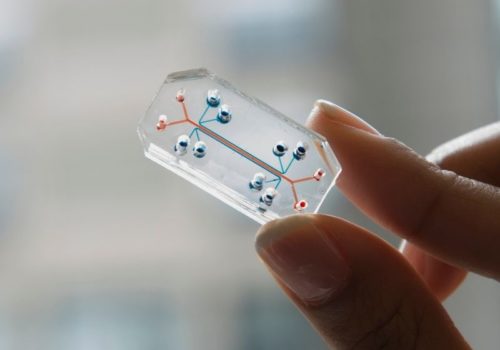 Person's fingers holding an organ-on-a-chip