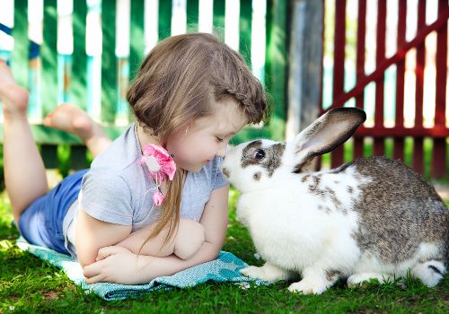 child and rabbit touching noses