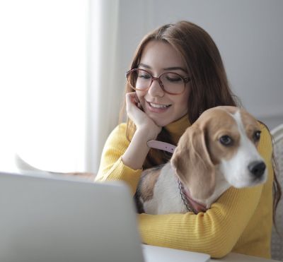 Image of a person using a computer, with a dog on their lap