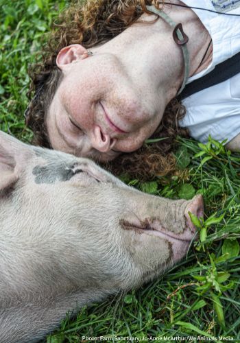 Image of a person and a pig lying on the grass, touching heads