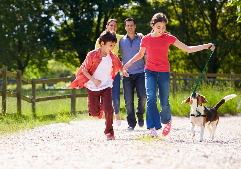 A family walking their dog in a park
