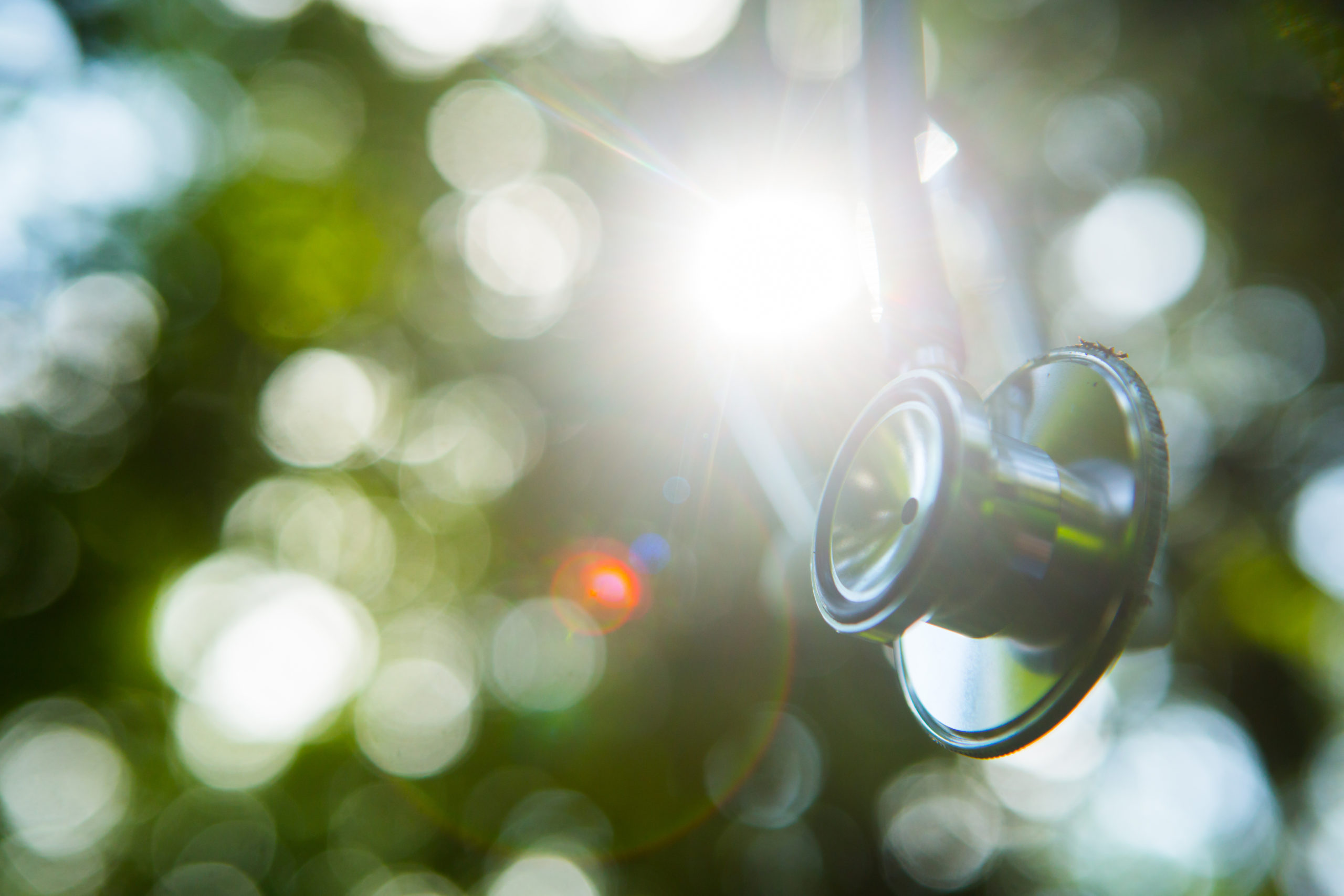 Image of a stethoscope in front of a blurred nature scene with the sun peeking through branches.