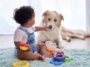 A baby plays with a dog--we need to expand moral status and agency