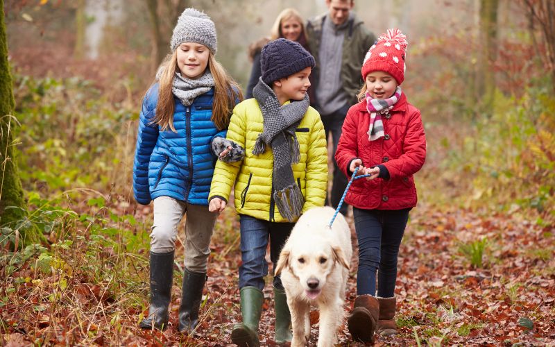 A family and a dog hiking through the woods--we need better alternatives to the GDP that are based on rights, wellbeing, and justice