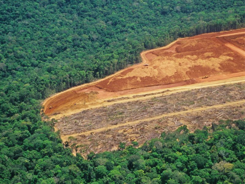 Deforested land in the Amazon being used for agriculture--animal agriculture contributes to climate change