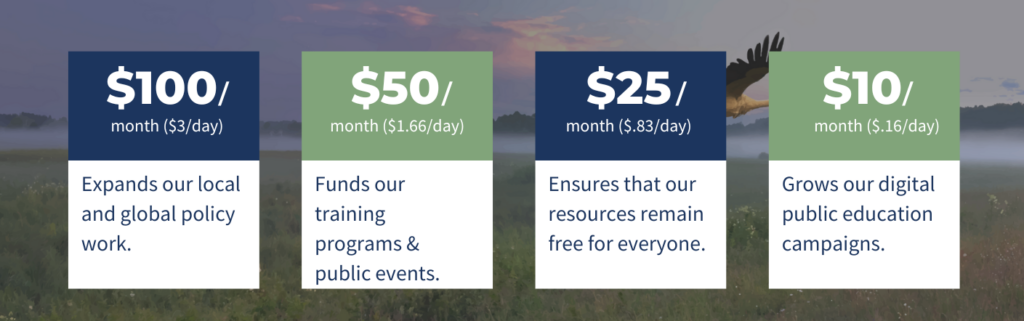 Donation levels listed on top of a background showing a bird flying across a field.