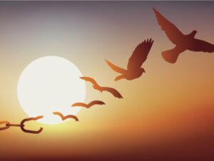 A flying bird transforming from breaking free from a chain, with the sun in the background