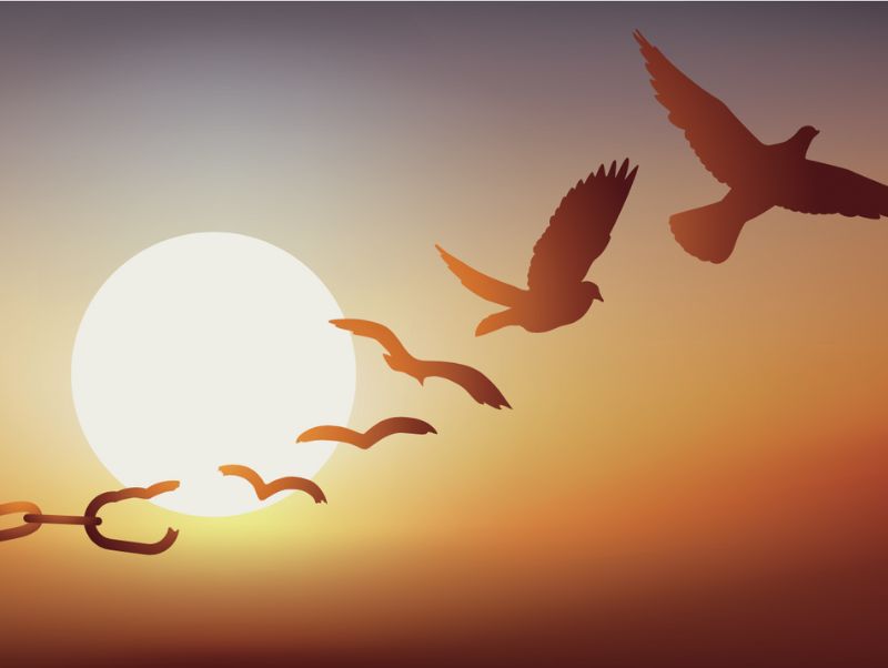 A flying bird transforming from breaking free from a chain, with the sun in the background