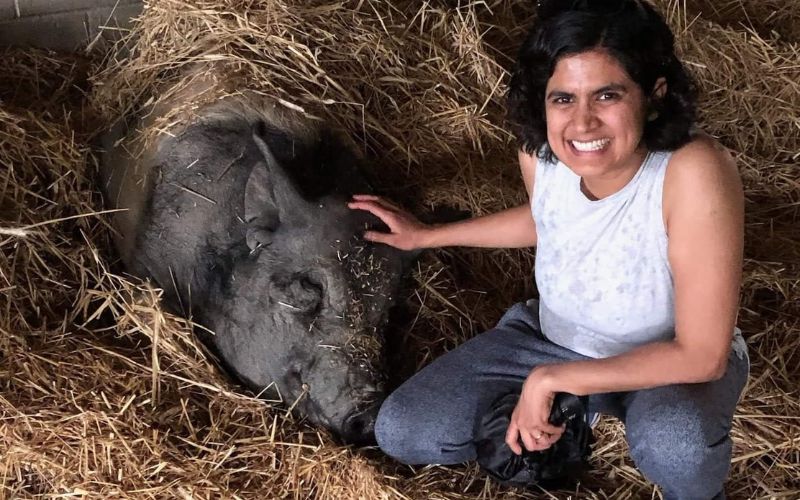 Nandita visits with a pig resident at Farm Sanctuary in Watkins Glen, New York.