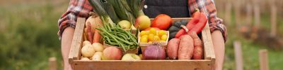 person holding a box of veggies--we need to transform our food system for human, animal, and environmental health