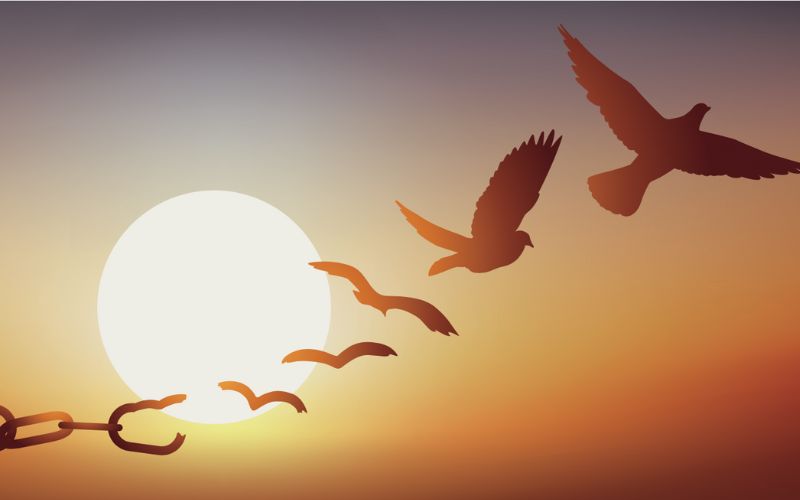 Image of a bird breaking away from chains that transform into the bird--we need to transform our food system for human, animal, and environmental health