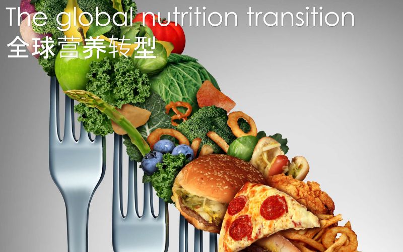 An image of the global nutrition transition from healthy, plant-based foods to unhealthy animal-based foods--we need to transform our food system for human, animal, and environmental health